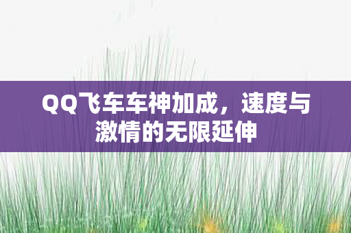 速度与激情的无限延伸图片