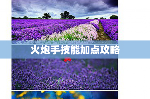 火炮手技能加点攻略图片