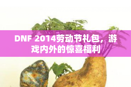 DNF 2014劳动节礼包图片