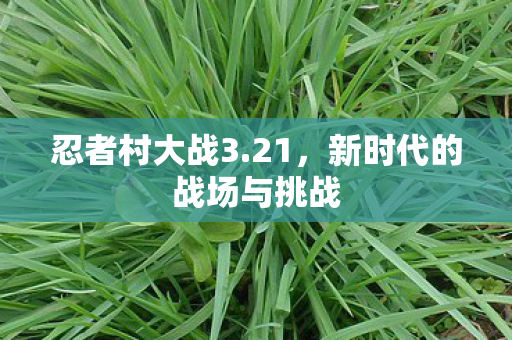 新时代的战场与挑战图片