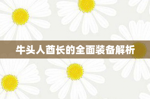 牛头人酋长的全面装备解析图片
