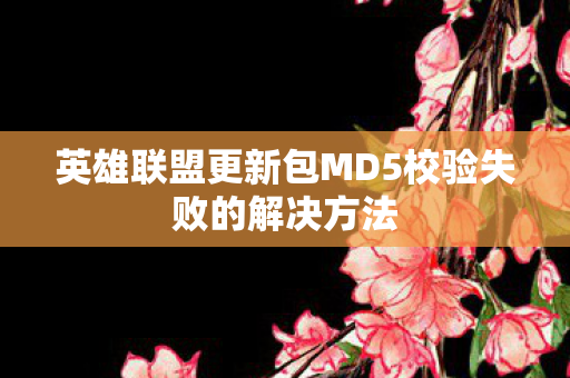 英雄联盟更新包MD5校验失败的解决方法图片