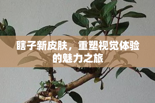 重塑视觉体验的魅力之旅图片