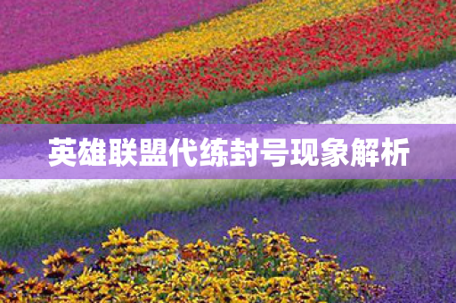英雄联盟代练封号现象解析图片