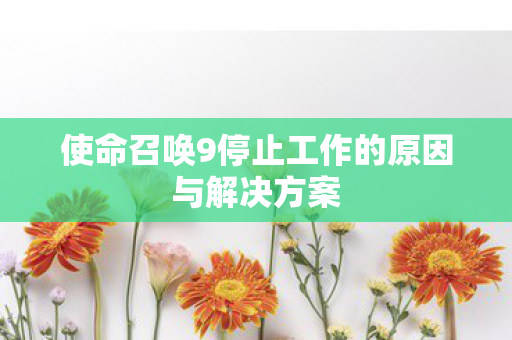 使命召唤9停止工作的原因与解决方案图片