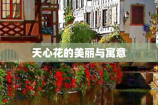 天心花的美丽与寓意图片