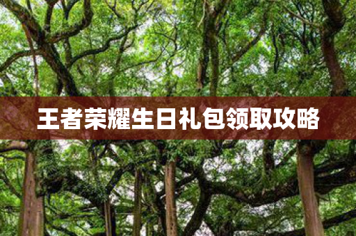 王者荣耀生日礼包领取攻略图片