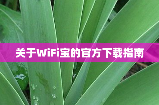 关于WiFi宝的官方下载指南图片