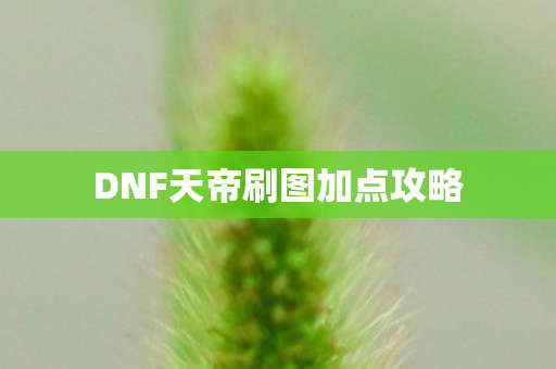 DNF天帝刷图加点攻略图片