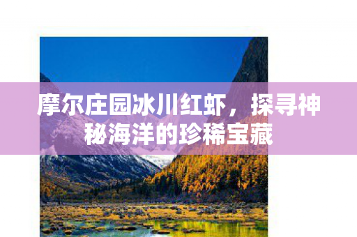 探寻神秘海洋的珍稀宝藏图片