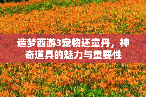 神奇道具的魅力与重要性图片