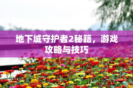 地下城守护者2秘籍图片