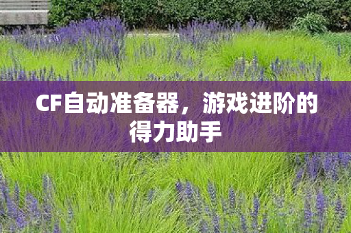 游戏进阶的得力助手图片
