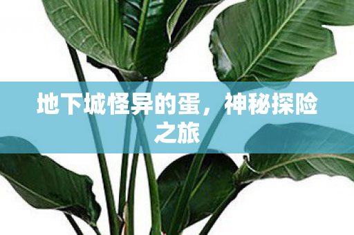地下城怪异的蛋图片