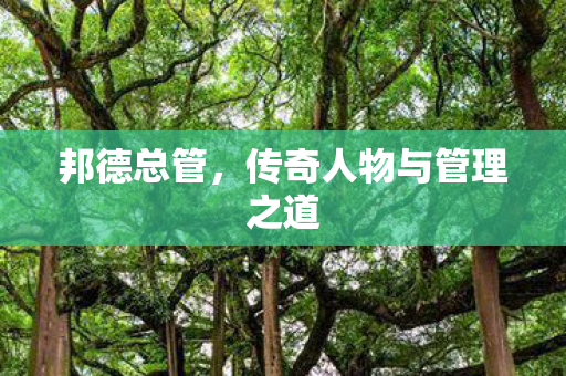 传奇人物与管理之道图片