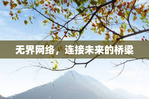 连接未来的桥梁图片