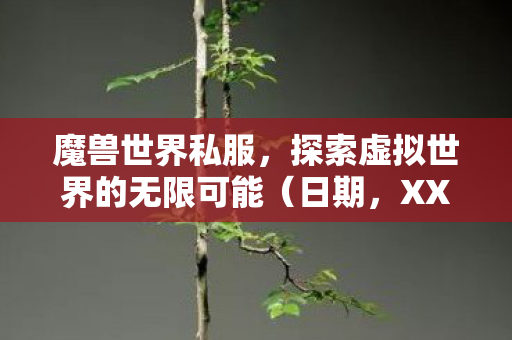 探索虚拟世界的无限可能图片