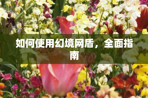 如何使用幻境网盾图片