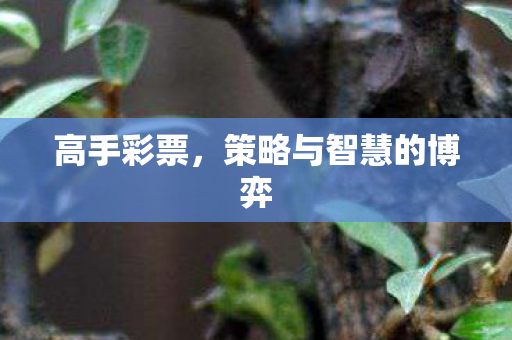 策略与智慧的博弈图片