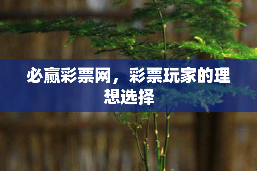 彩票玩家的理想选择图片