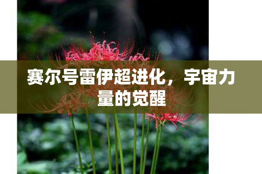赛尔号雷伊超进化图片