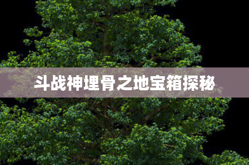 斗战神埋骨之地宝箱探秘图片