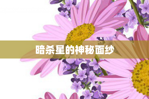 暗杀星的神秘面纱图片