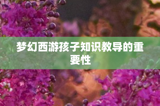 梦幻西游孩子知识教导的重要性图片