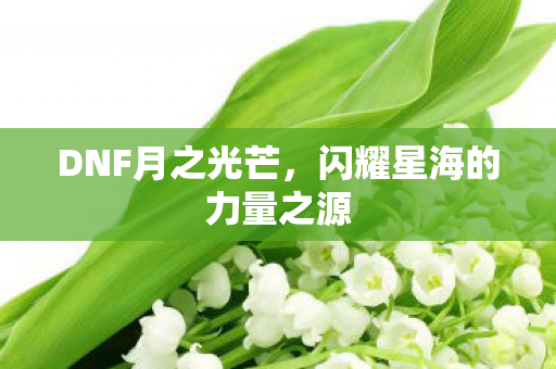 闪耀星海的力量之源图片