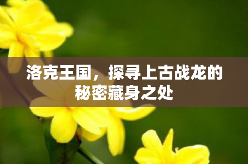 探寻上古战龙的秘密藏身之处图片