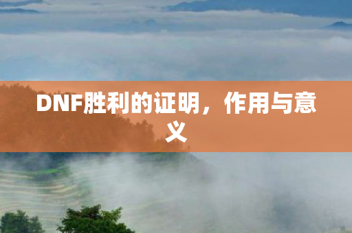 DNF胜利的证明图片