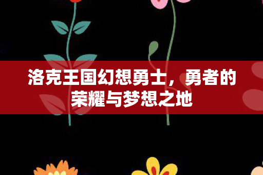 勇者的荣耀与梦想之地图片