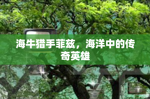 海洋中的传奇英雄图片
