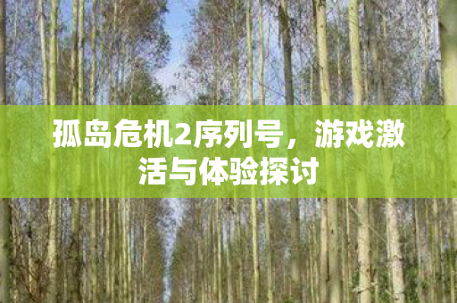 游戏激活与体验探讨图片