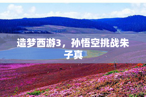 孙悟空挑战朱子真图片