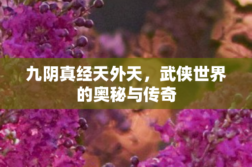 武侠世界的奥秘与传奇图片
