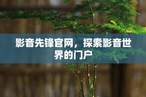 探索影音世界的门户图片