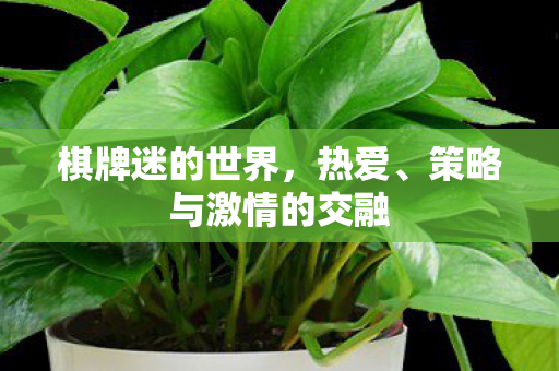 策略与激情的交融图片