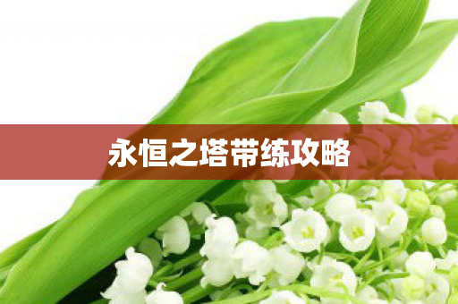 永恒之塔带练攻略图片