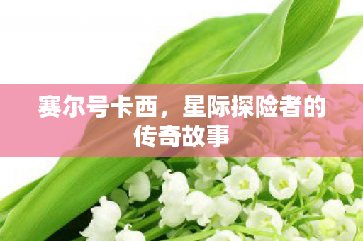 星际探险者的传奇故事图片