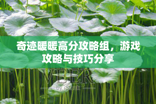 奇迹暖暖高分攻略组图片