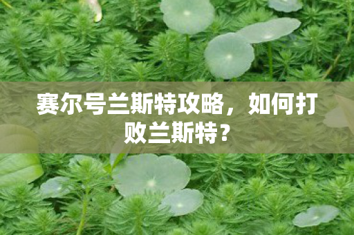 赛尔号兰斯特攻略图片