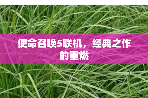 使命召唤5联机图片
