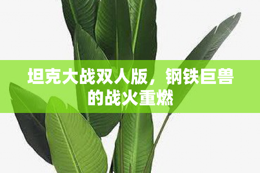 钢铁巨兽的战火重燃图片