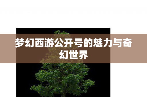 梦幻西游公开号的魅力与奇幻世界图片