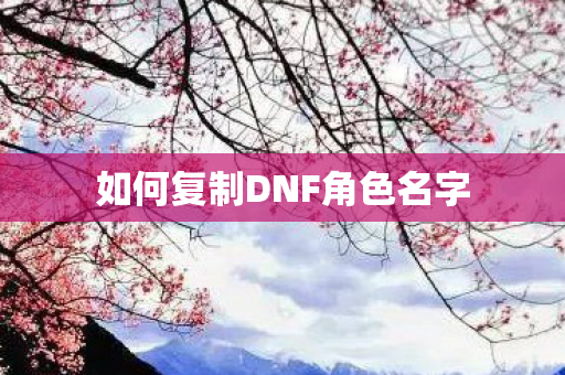 如何复制DNF角色名字图片