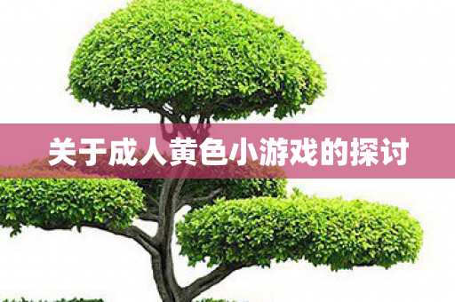 关于成人黄色小游戏的探讨图片