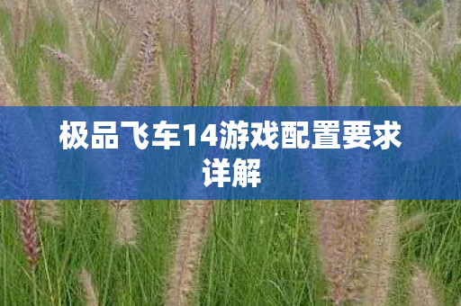 极品飞车14游戏配置要求详解图片