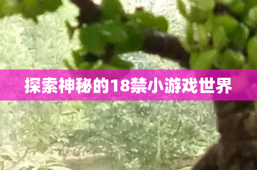 探索神秘的18禁小游戏世界图片