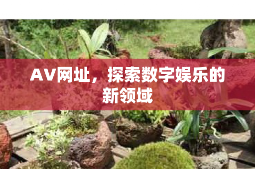 探索数字娱乐的新领域图片